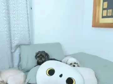 Chaturbate Free Porn Cam of annavalente_
