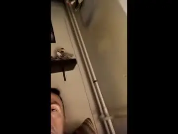 Chaturbate Live Sex Cam of misanthrope83