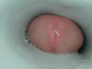 Chaturbate Sex Cam of jeffrodgerschaturbat