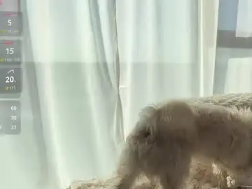 Chaturbate Adult Webcam of naughtystyle69