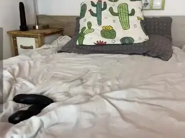 Chaturbate Live Sex of tim_beard