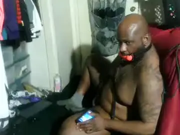 Chaturbate Adult Webcams of hbdj2164