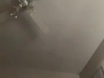 Chaturbate Live Sex Cam of ctr_rtc