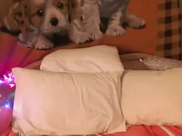 Chaturbate Private Sex Chat of jei_sexysweet