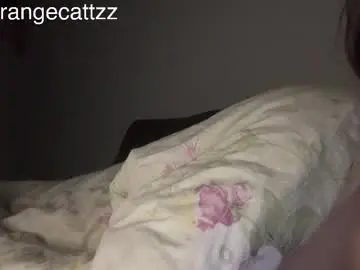 Chaturbate Adult Webcams of orangecattz