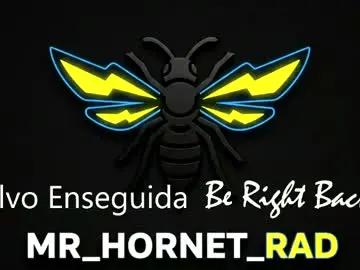 Chaturbate Sex Cam of mr_hornet_rad