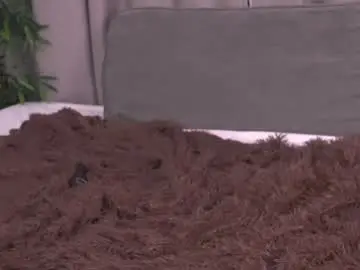 Chaturbate Free Live Porn of sinfulfairy