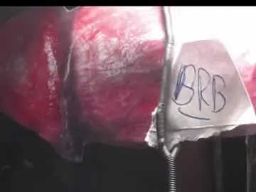 Chaturbate Live Porn of xloadzzz