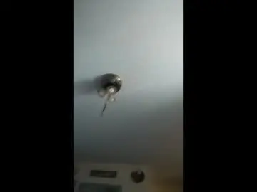 Chaturbate Free Porn Cam of milfsfreaky69