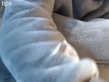 Chaturbate Live Porn of stef7878