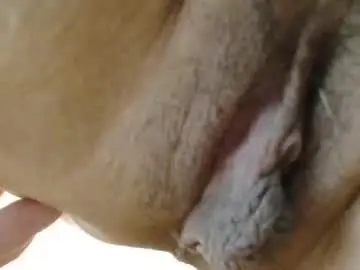 Chaturbate Nude Webcam of cbz112233