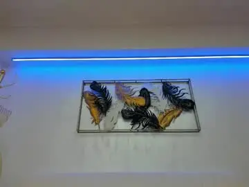 Chaturbate Free Live Porn of vikafever