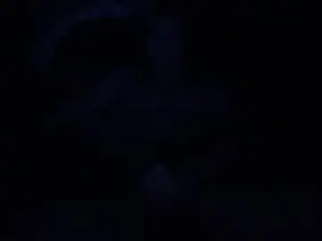 Chaturbate Private Sex Chat of princegolden