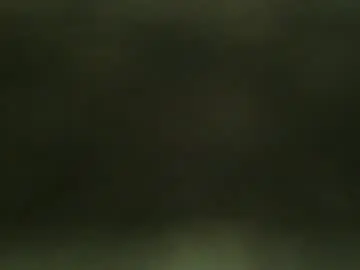 Chaturbate Free Porn Cam of analplayeur