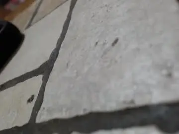 Chaturbate Sex Cam of dirtyman8603