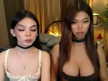 Chaturbate Live Sex of twinktransshanel