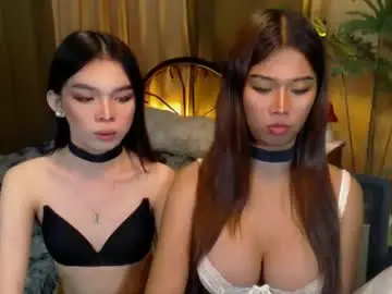 Chaturbate Free Porn Cam of twinktransshanel