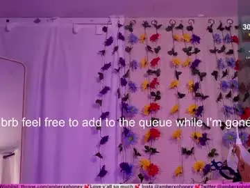 Chaturbate Adult Webcams of amberxoxhoney