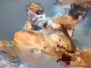 Chaturbate Adult Webcam of leo71313