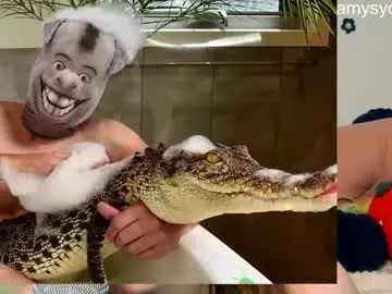 Chaturbate Adult Webcams of thisisamelia