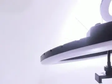 Chaturbate Best Webcam of damian_bull