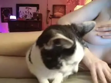 Chaturbate Best Webcam of catnips_cabaret
