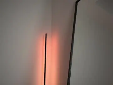 Chaturbate Adult Webcam of chloewildd