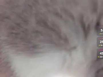 Chaturbate Best Webcam of jordanmusk_