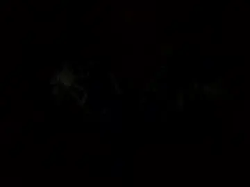 Chaturbate Nude Webcam of scottkuesterisme