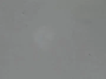 Chaturbate Watch Live Sex Cams of sophia_ebony___