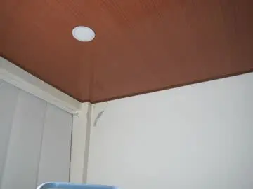 Chaturbate Adult Webcam of maximohoot