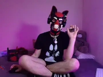 Chaturbate Adult Webcam of k9_goodboy