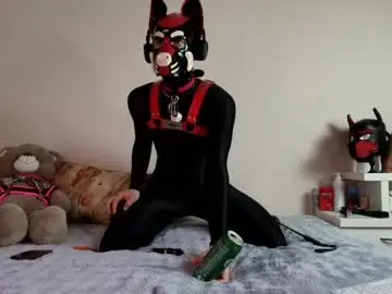 Chaturbate Live Sex of k9_goodboy