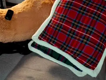 Chaturbate Free Live Porn of imjoanna