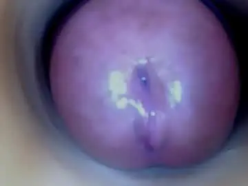 Chaturbate Adult Webcam of paulainoscente