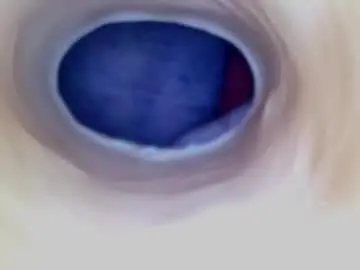 Chaturbate Adult Video Chat of paulainoscente