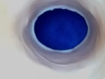 Chaturbate Sex Cam of paulainoscente