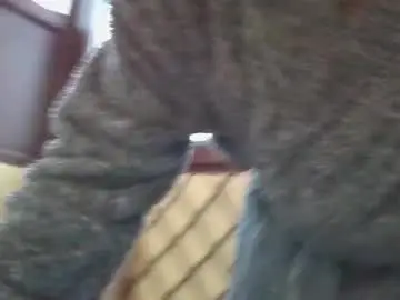 Chaturbate Adult Video Chat of roberto_twink1