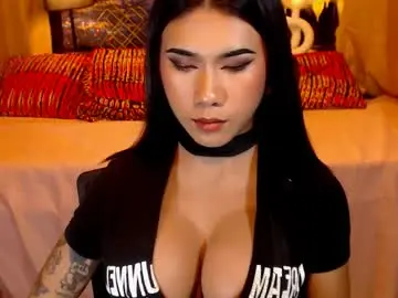 Chaturbate Live Sex Cam of transpornidol