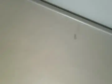 Chaturbate Free Live Porn of anndyhardy11