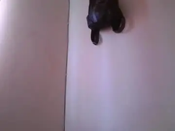 Chaturbate Live Sex Cam of mayumi02