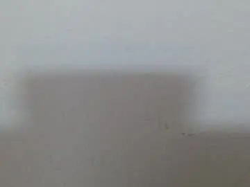 Chaturbate Best Webcam of scarlet118082