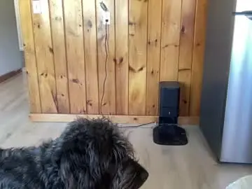 Chaturbate Live Sex Cam of ofthatguy