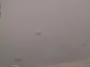 Chaturbate Adult Webcams of abellacroft