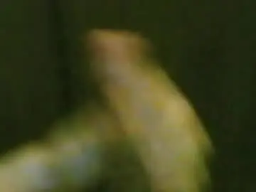 Chaturbate Sex Cam of kren565656