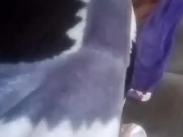 Chaturbate Sex Chat of dagodex30