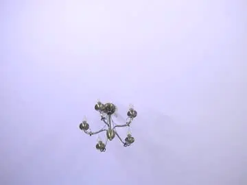 Chaturbate Free Live Porn of felissiany