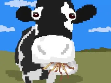 Chaturbate Adult Webcams of rosyejones