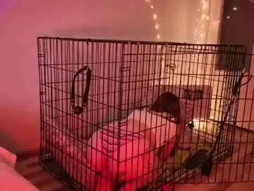 Chaturbate Live Sex Cam of let_me_seee