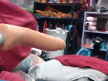 Chaturbate Sex Cam of animergamergirl